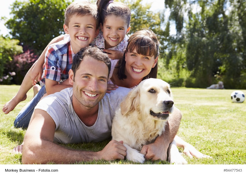 Zahnarzt Sommer 2015 - Prophylaxe Kinder Eltern